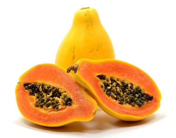 not only papaya  but also the seeds of its seed are many benefits