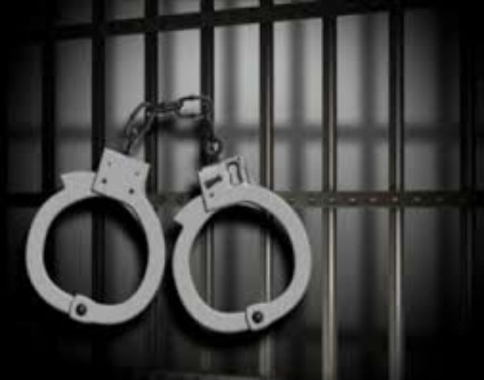 ਘਰਾਂ ''ਚੋਂ ਸਾਮਾਨ ਚੋਰੀ ਕਰਨ ਵਾਲੇ ਗਿਰੋਹ ਦੇ 4 ਮੈਂਬਰ ਗ੍ਰਿਫਤਾਰ