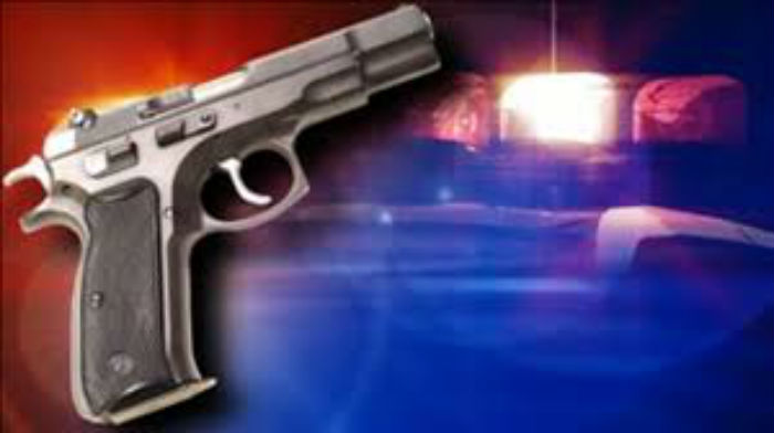 ਘਰ ''ਚ ਸੌ ਰਹੀ ਔਰਤ ਦਾ ਗੋਲੀ ਮਾਰ ਕੇ ਕੀਤਾ ਕਤਲ