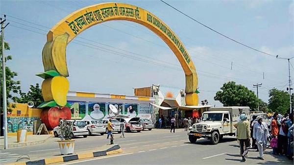 enior vice chairperson