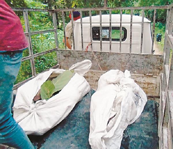 mother lover drown 2 children