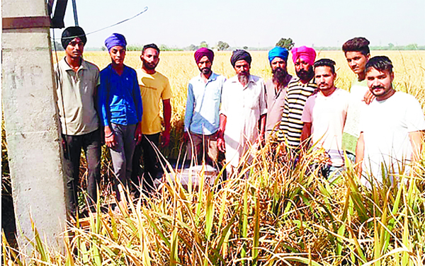 6 ਟਰਾਂਸਫਾਰਮਰਾਂ ’ਚੋਂ ਤਾਂਬਾ ਚੋਰੀ, ਵਧ ਰਹੀਅਾਂ ਵਾਰਦਾਤਾਂ ਕਾਰਨ ਕਿਸਾਨਾਂ ’ਚ ਰੋਸ