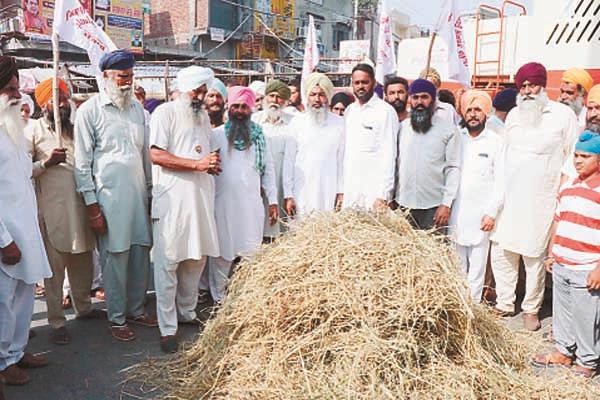 farm laborers infused effigy