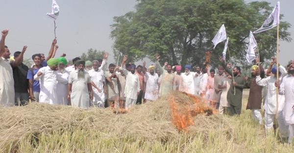 bharatiya kisan union staged a paralyzed show