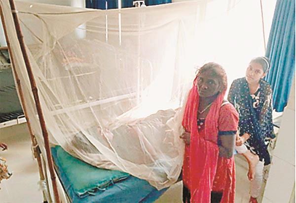 dengue fury in city receives 3 patients