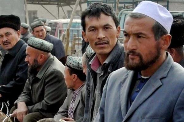 foreign land muslims terrorists