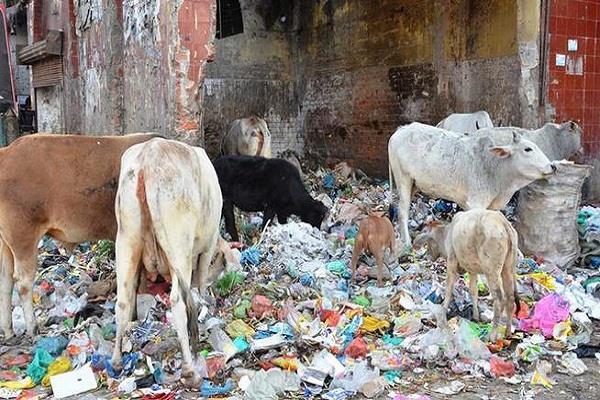 anath govansh drug problems