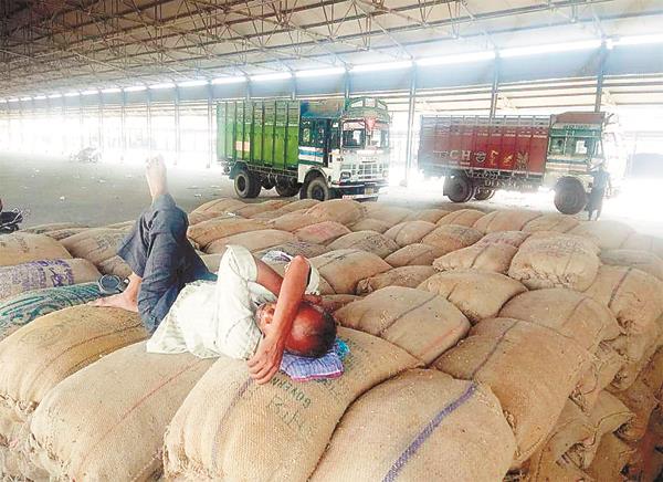 paddy procurement in byepass grain market