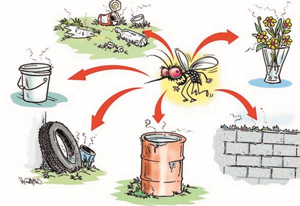 outbreak of dengue 