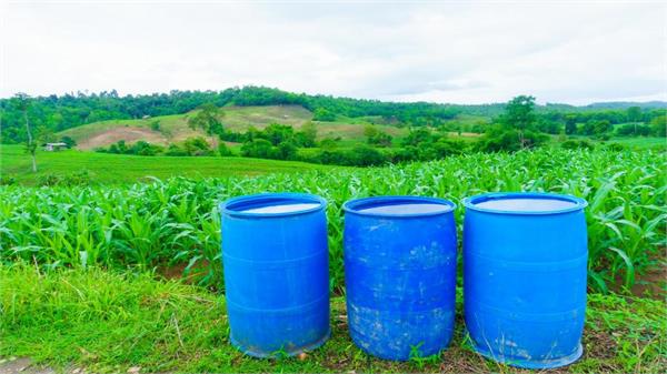 glyphosate  its formulations banned in punjab