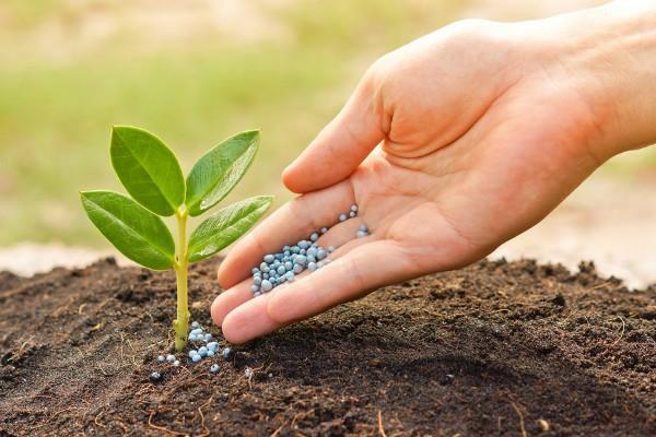 india companies for mineral fertilizer production