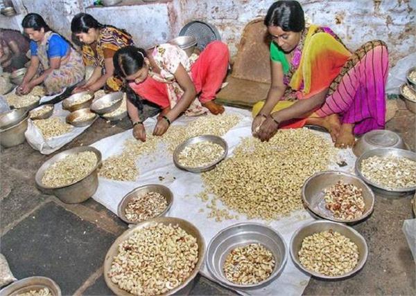 the decline of cashew nuts demand