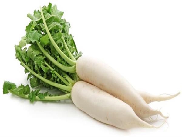 radish carries many diseases