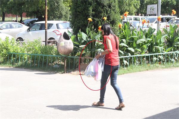 punjab university