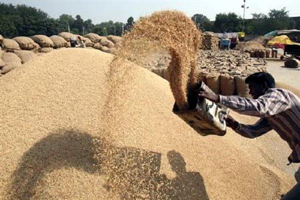 grain markets