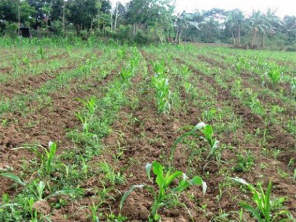 biological farming in