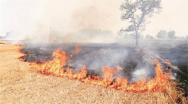 stubble burning