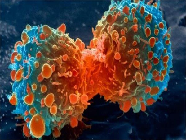 less risky than using cancer