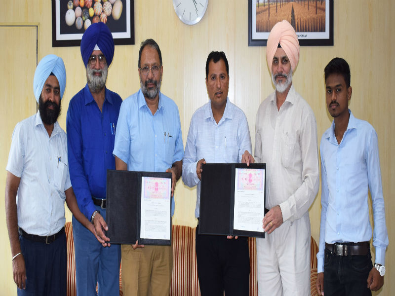 ਪੀ.ਏ.ਯੂ. ਨੇ ਮੱਕੀ ਦੀ ਹਾਈਬ੍ਰਿਡ ਕਿਸਮ ਦੇ ਵਪਾਰੀਕਰਨ ਲਈ ਸਮਝੌਤਾ ਕੀਤਾ