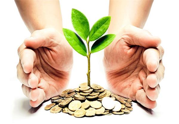punjab government appointed 13 business facilitators