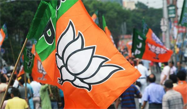 mp election  bjp will release manifesto special news of 17 november 