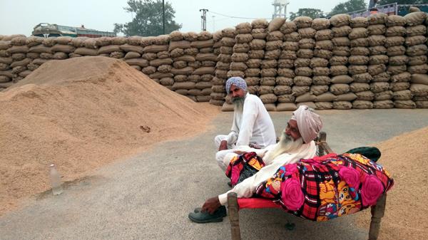 rice not due arhatie paledara workers harassed purchase