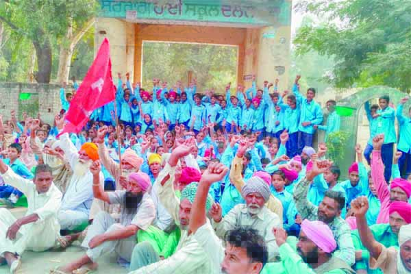 ਅਧਿਆਪਕਾਂ ਦੀਆਂ ਬਦਲੀਆਂ ਵਿਰੁੱਧ ਸਿੱਖਿਆ ਅਧਿਕਾਰੀਆਂ ਦੀ ਹੋਈ ਜ਼ਬਰਦਸਤ ਘੇਰਾਬੰਦੀ
