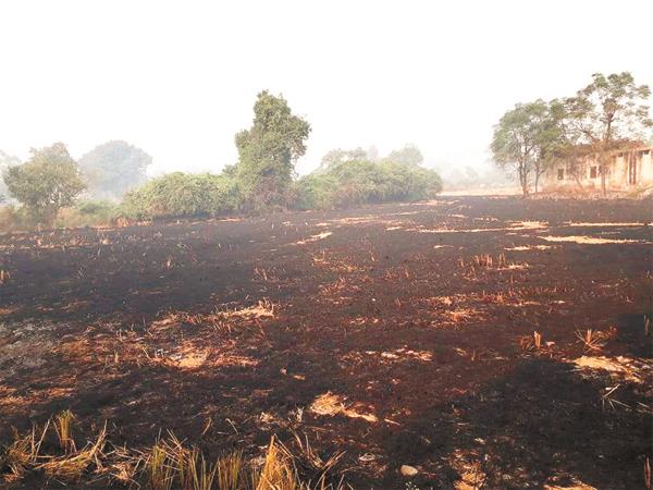 straw  fire