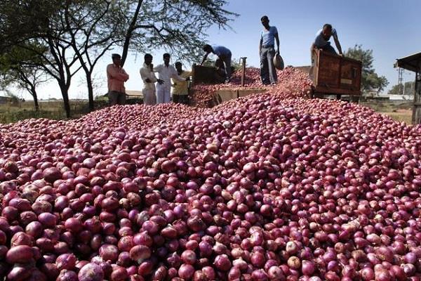 karnataka  large fall in onion prices