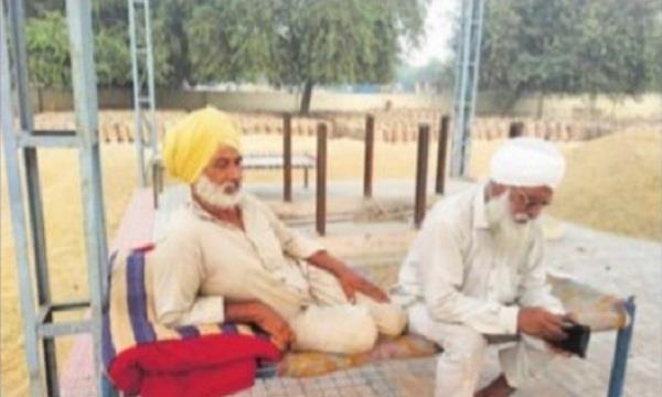 village badal  cremation ground  purchase center