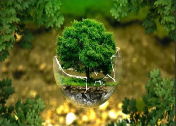 environment  pollution  elections