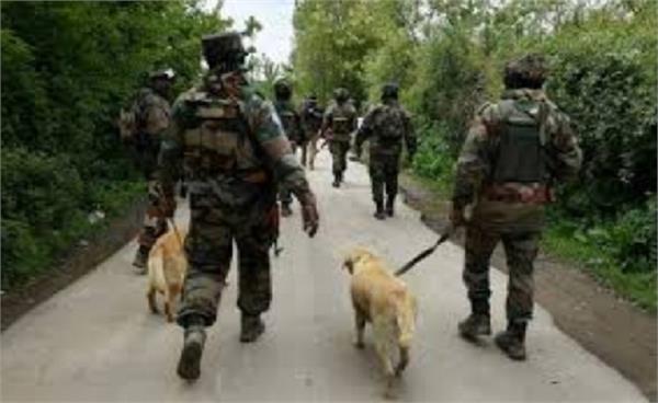 search operation in kashmir