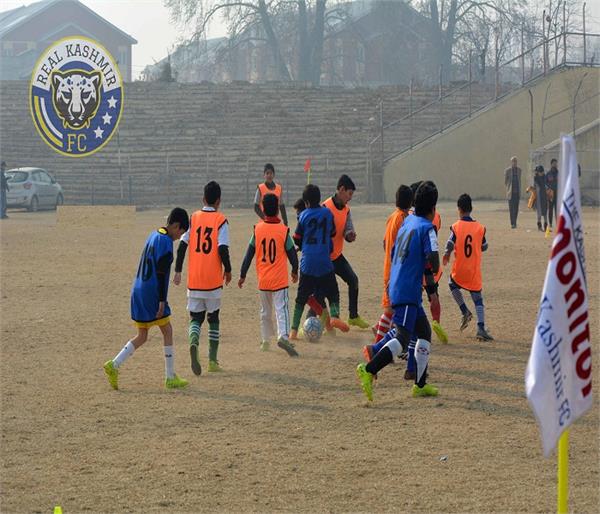 real kashmir