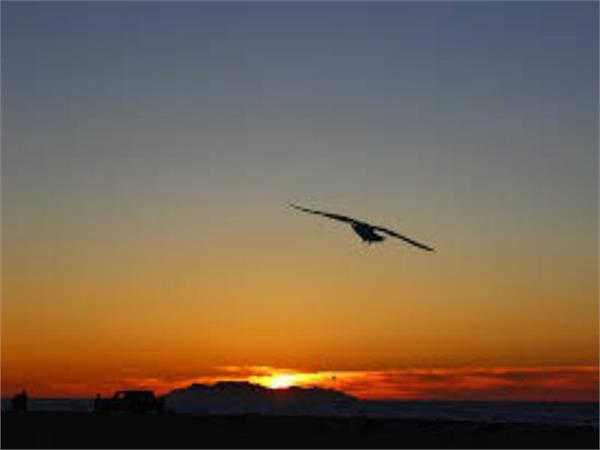 the flight