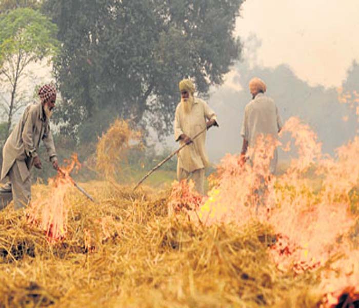 ਪਿਛਲੇ ਸਾਲ ਦੇ ਮੁਕਾਬਲੇ ਇਸ ਸਾਲ ਪੰਜਾਬ ''ਚ ਘੱਟ ਸਾੜੀ ਗਈ ਪਰਾਲੀ