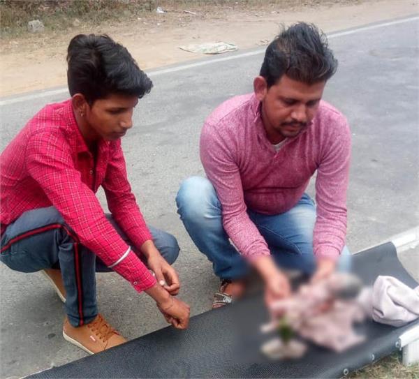 bathinda sirhind canal newborn baby embryo