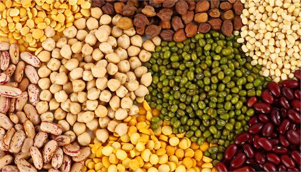 18 per cent lagging behind pulses sowing