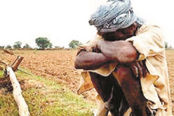every year  12 000 farmers commit suicides