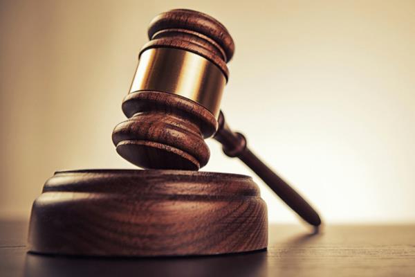 case on mother and sons stealing luggage from flats