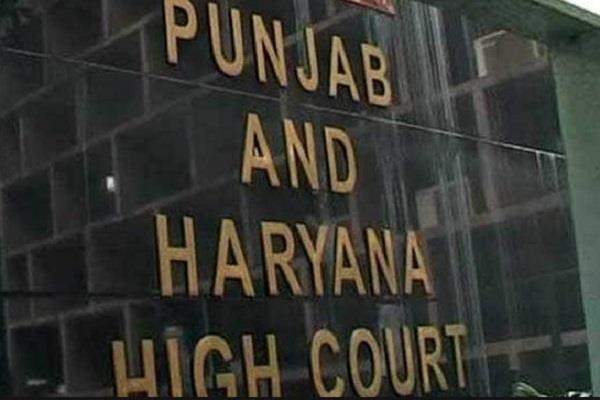ludhiana city center scam