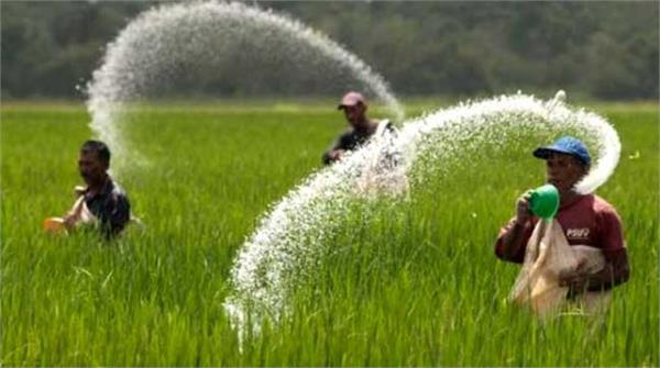 no shortage of urea in punjab