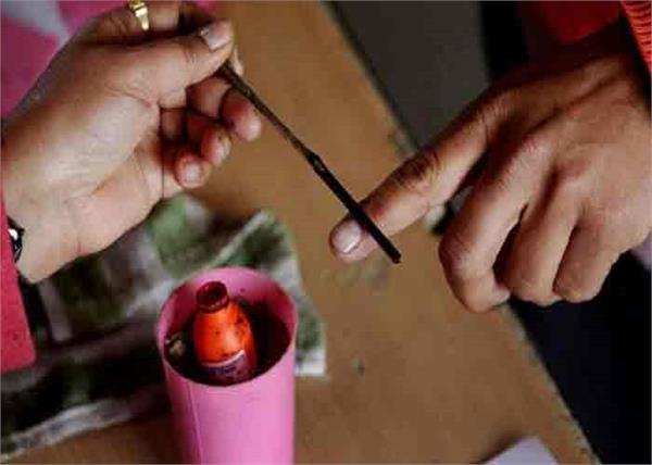 haryana municipal elections voting