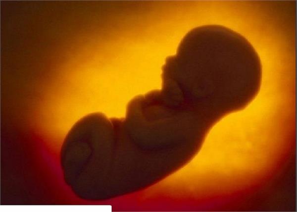faridkot fetus police