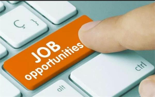 government job opportunity in iit company