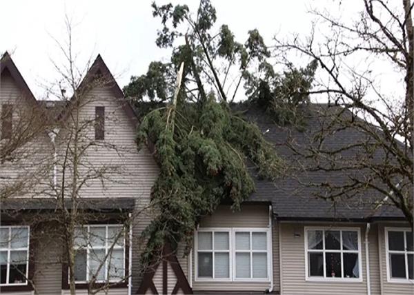 canada windstorm 