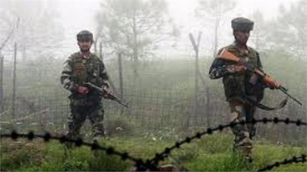 cfv in sunderbani