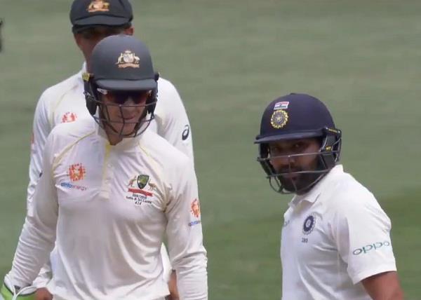 tim pane proves to rohit on the field after kohli video