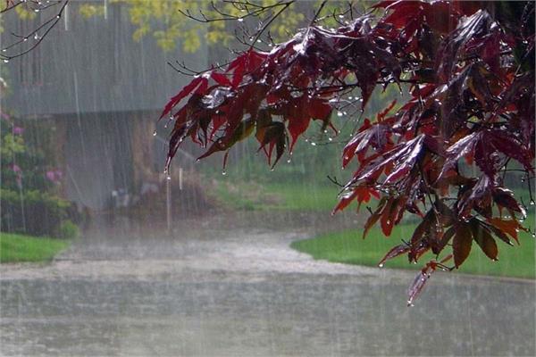 punjab weather