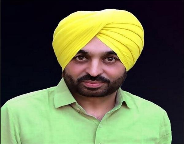 chandigarh  bhagwant mann  tweety