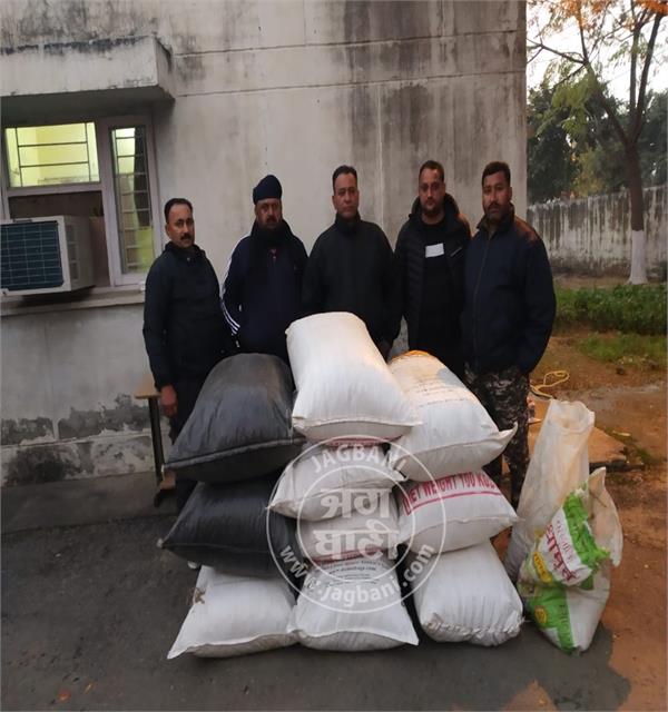 counter intelligence nabbed 2 5 quintal of poppy husk in milk crates truck